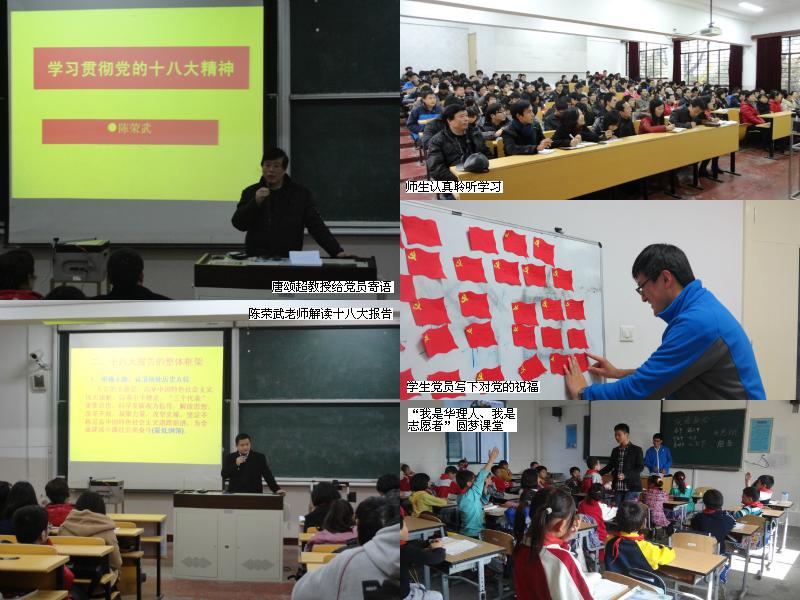 材料学院师生深入学习十八大精神