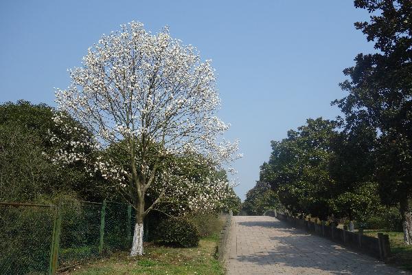 静谧小路